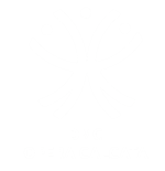 DMC Opera Calcata